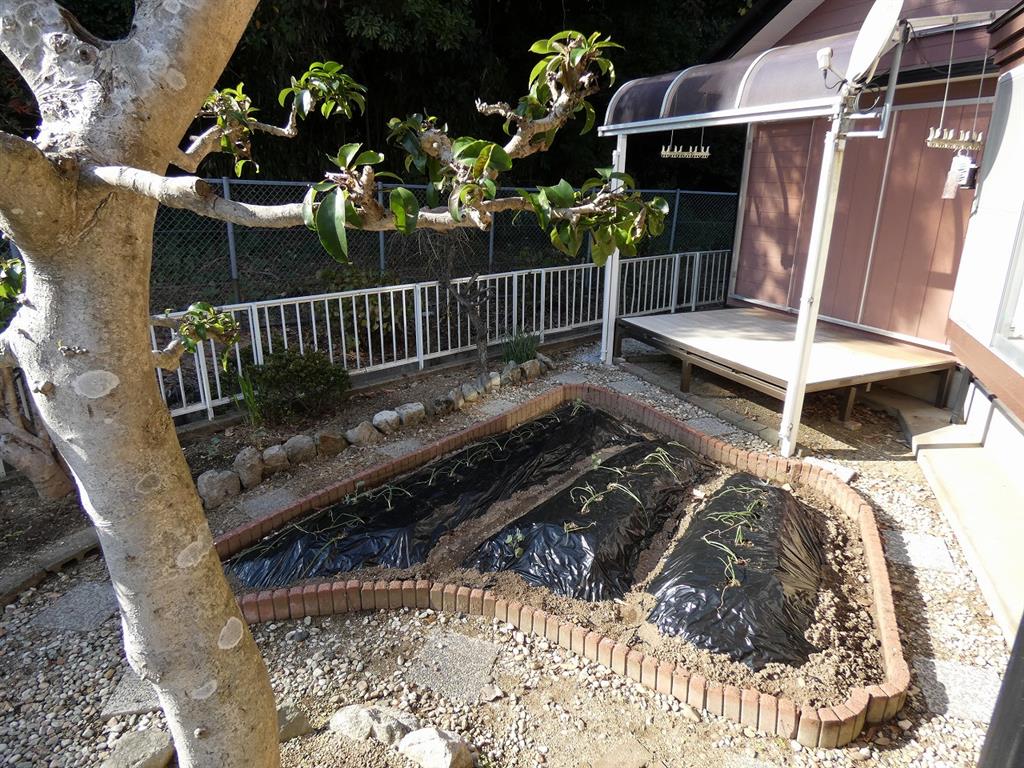 浅川町戸建 その他