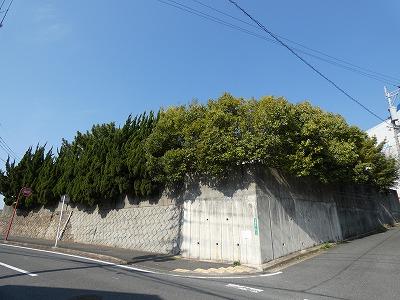 日の出一丁目戸建 その他
