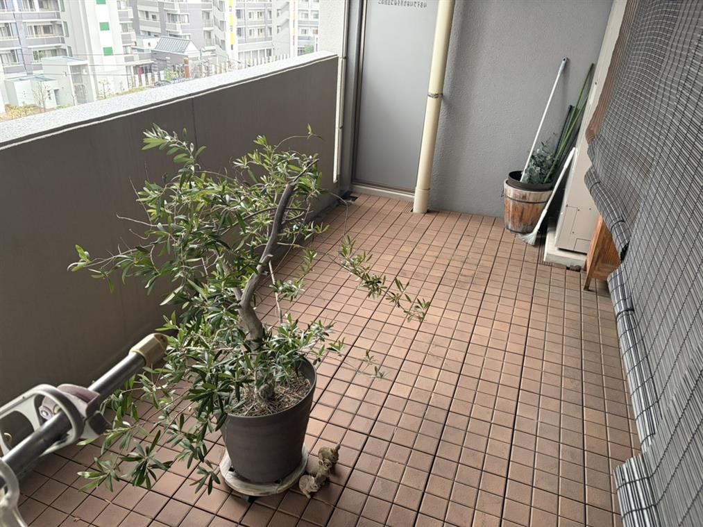 アースコートディアマーレ門司駅前 その他