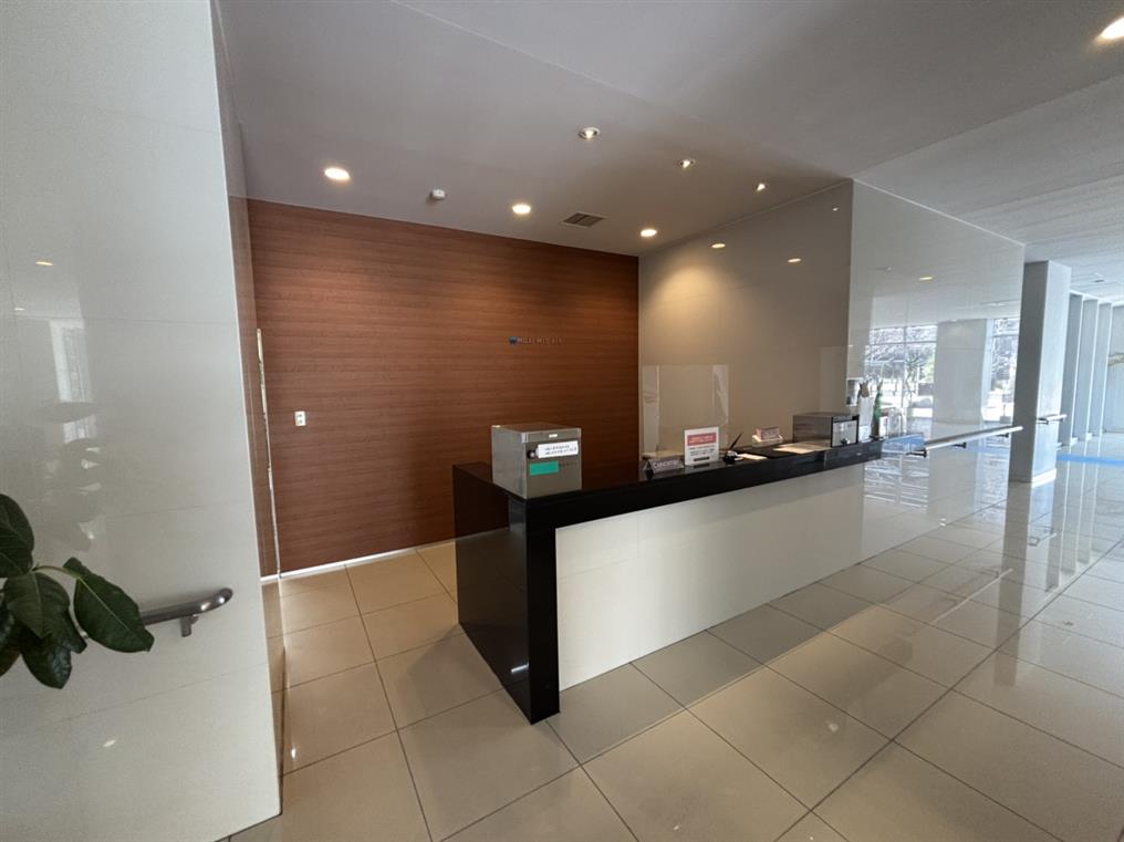 MOJI MID AIR その他