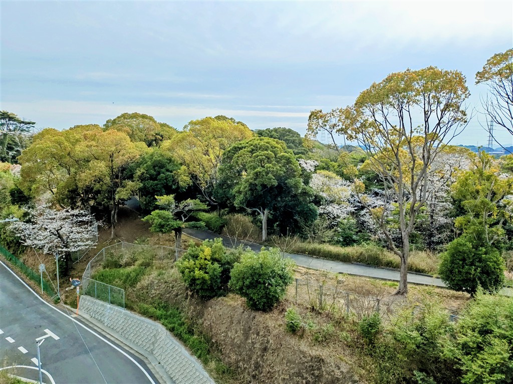 サンパーク青山 その他